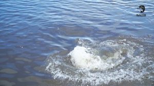 Суровые реки заполярья. 2 сезон. Анонс. Канал Рыболов