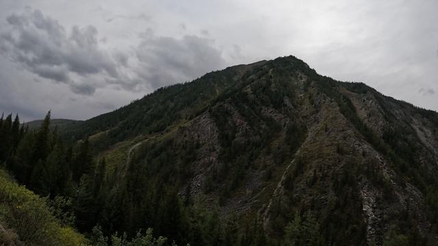GX010118 смотреть онлайн