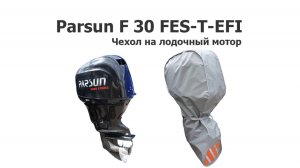 Чехол на лодочный мотор Parsun F 30 FES-T-EFI