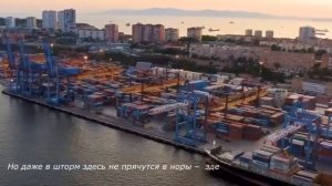 Песня о Владивостоке «Golden Bridge Lights / Владивосток»