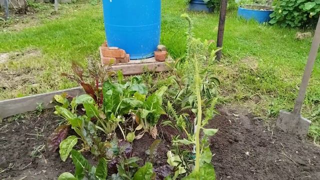 Весь день прошел в одном кадре. Лесная охота не удалась. смотреть онлайн