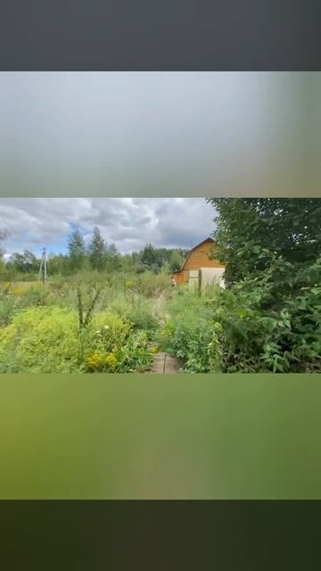 video_2025-08-25_09-04-51 смотреть онлайн