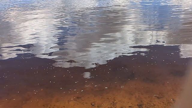 Рыбалка на реке Волхов