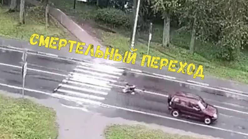 СМЕРТЕЛЬНЫЙ ПЕРЕХОД\\не глядя на красный\задним ходом во дворе\переехал собаку\путают педали\ смотреть онлайн