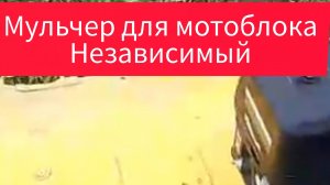 Самодельный мульчер для мотоблока МТЗ ,уборка картофельной ботвы успешно стартовала .