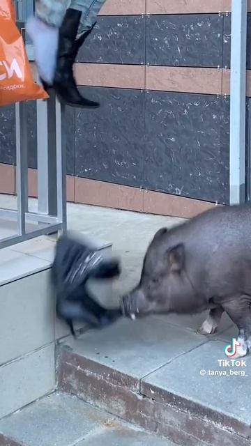 о будущее шашлык🤪😋 смотреть онлайн