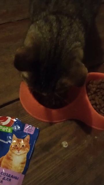 Влажный корм Ашан pets смотреть онлайн