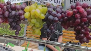 Обзор сортов винограда.Выставка в Донецке