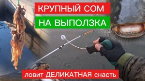 КРУПНЫЙ СОМ на ВЫПОЛЗКА. ЛОВЛЯ СОМА с КВОКОМ. Деликатная СНАСТЬ ловит  КРУПНОГО СОМА. СОВЕТ ПО СОМУ