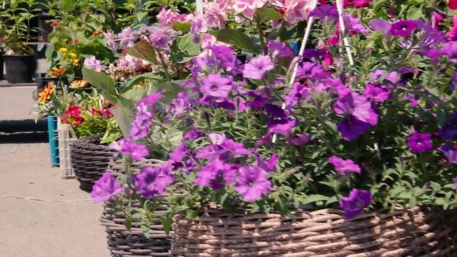 Выставка-ярмарка "БЛАГОДАТЬ" смотреть онлайн