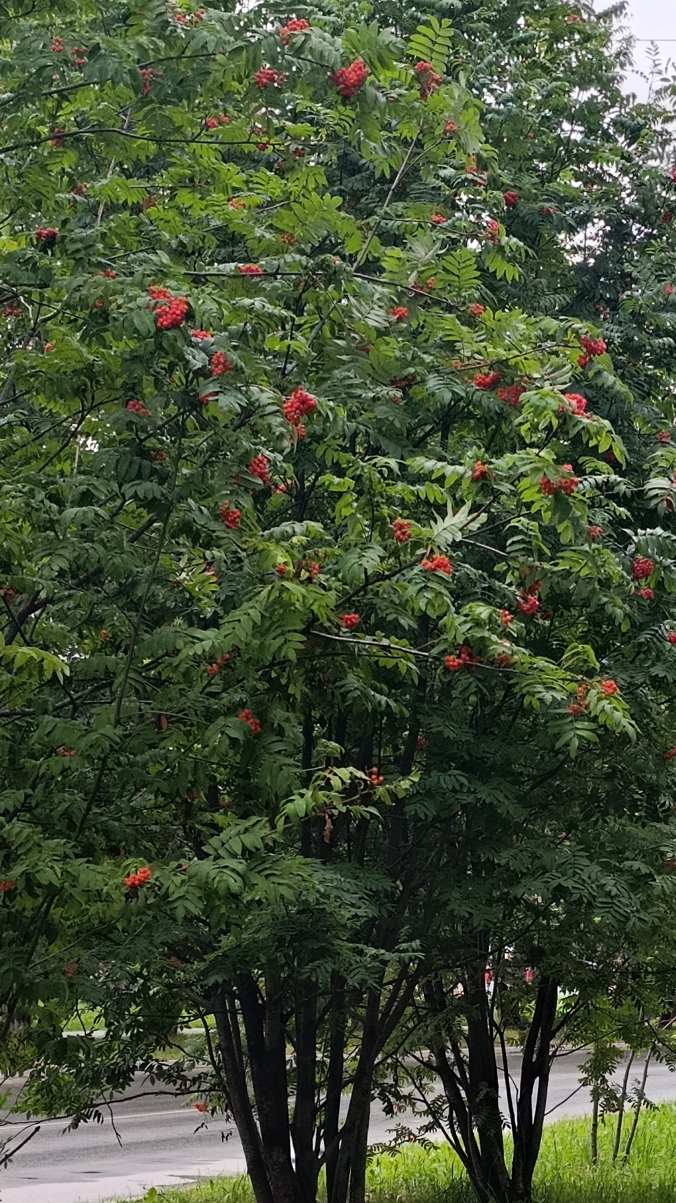 Что успеваю перед работой во вторую смену