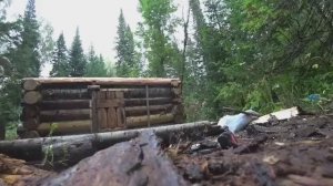 ТАЙГА, ДОЖДИ, ИЗО ВСЕХ СИЛ СТРОЮ ИЗБУ. ВСЕГО ДВА ИНСТРУМЕНТА ГОТОВЛЮСЬ К НАСТИЛУ КРЫШИ.