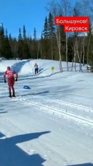 Александр Большунов Кировск. #shorts #лыжи #большунов #кировск #хибины смотреть онлайн