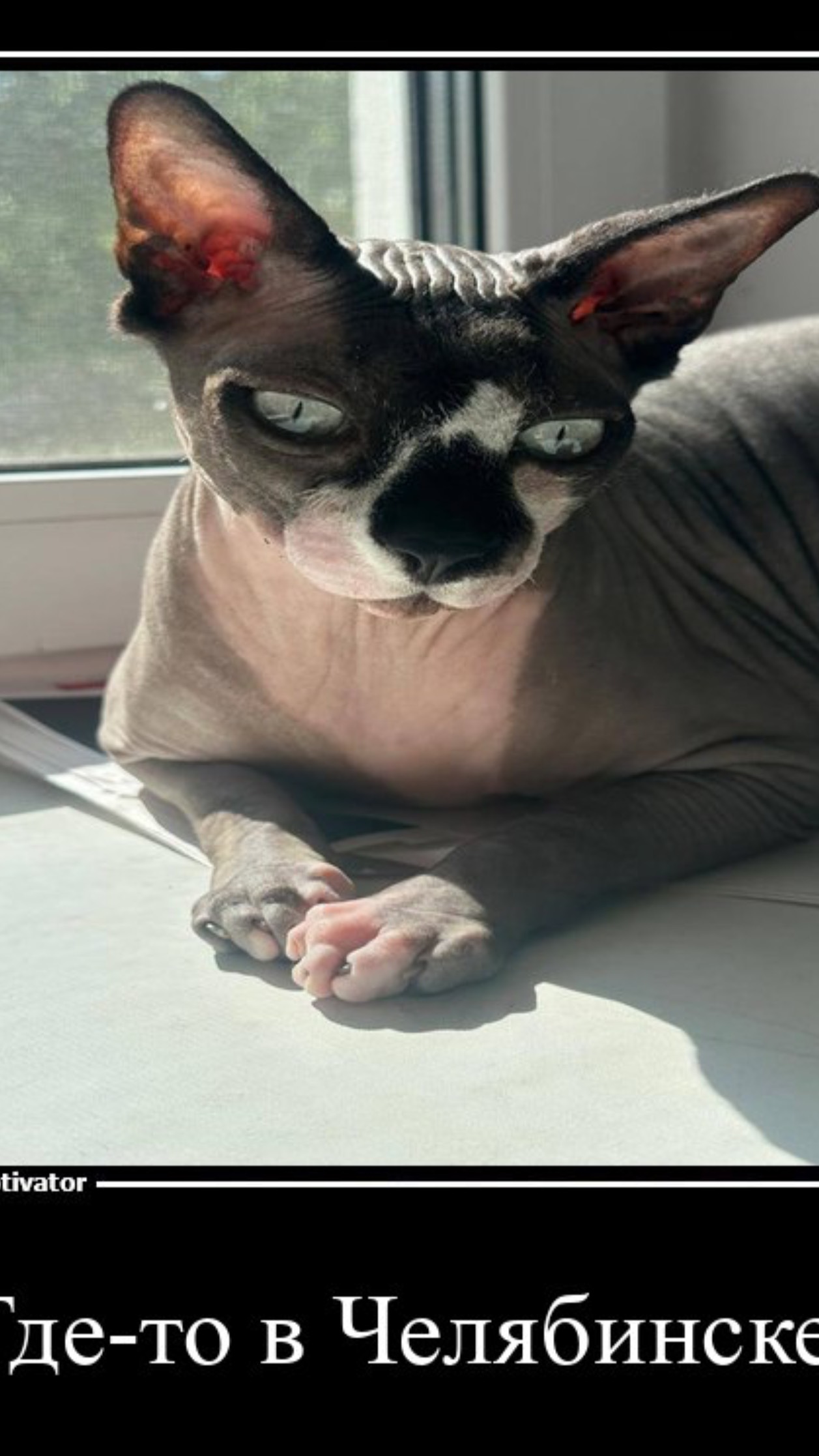 Монтирую видео