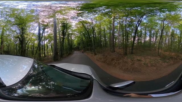 Ай-Петри 19.08.2025 подъём на автомобиле #Rutube #360Video #ПанорамноеВидео #VR