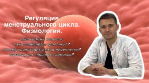 Регуляция менструального цикла - физиология.