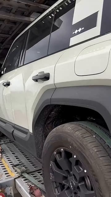 Новые «звери» в стае! смотреть онлайн