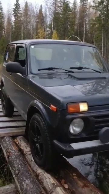 Вокруг оз.Сямозеро. #shorts #нива #нива4х4 #карелия смотреть онлайн