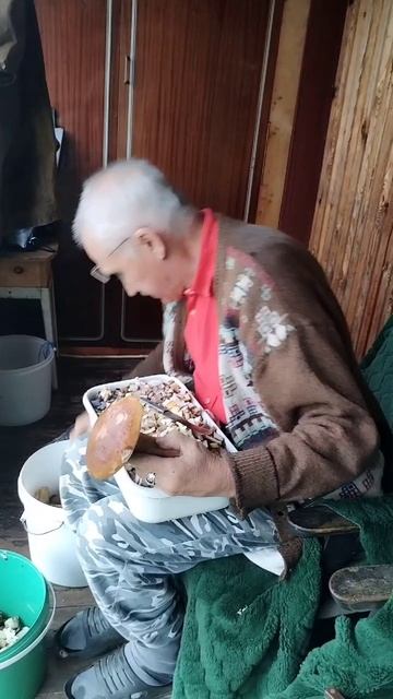 Главный грибник в Ваганьково. 23.08.2025 смотреть онлайн