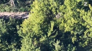 СВО Серебрянский лес. Нашими бойцами взята в плен ещё одна партия ВСУшников.