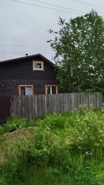 Несёться волк) смотреть онлайн