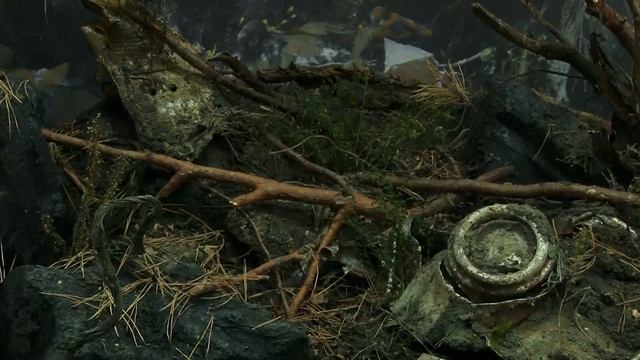 Открытие экспозиции, посвященной экипажу ПЕ-2 (сюжет) смотреть онлайн