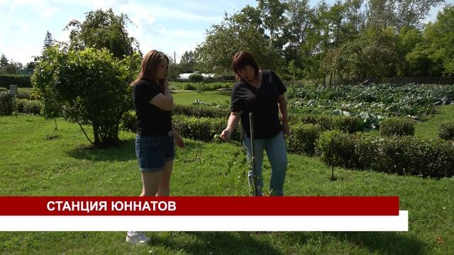 СТАНЦИЯ ЮННАТОВ смотреть онлайн
