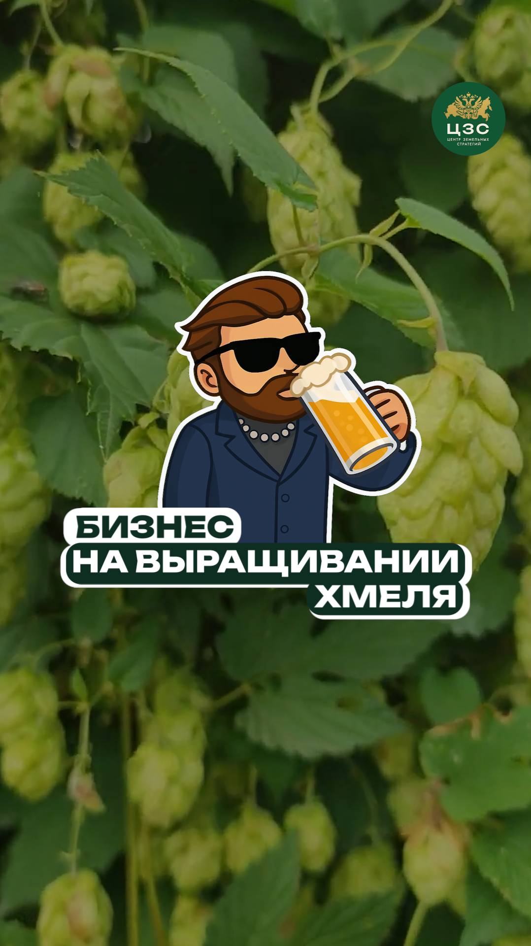 Сколько можно заработать на хмеле?