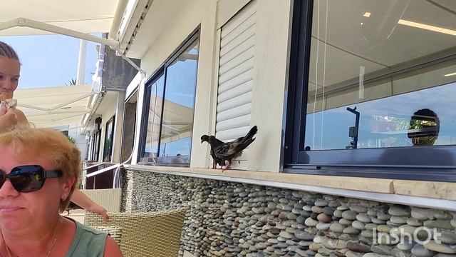 ВЛОГ / ДЕНЬ НА МОРЕ / Адлер 2025 смотреть онлайн