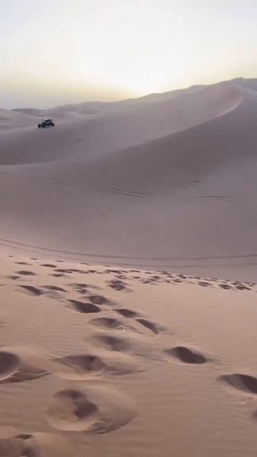 Как хакнуть WB и покупать товары в 10 раз дешевле?