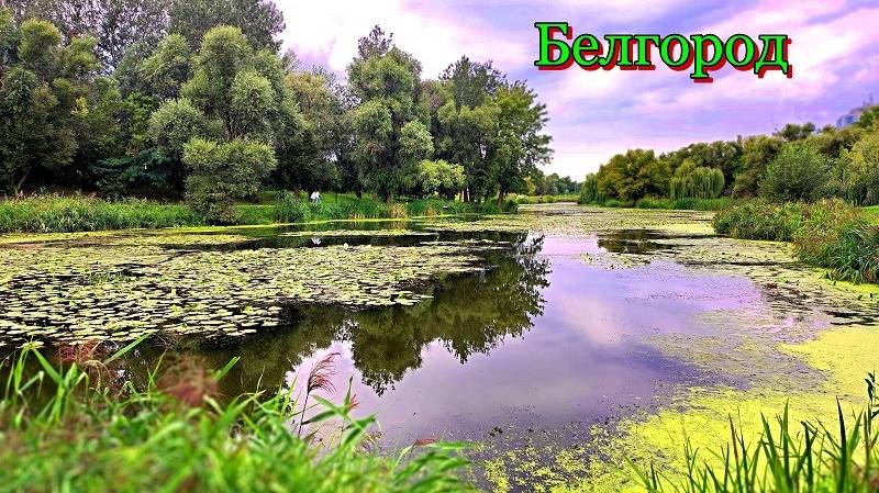 Белгород. Классное место для отдых, вело и пеших прогулок, август 2025 год. смотреть онлайн