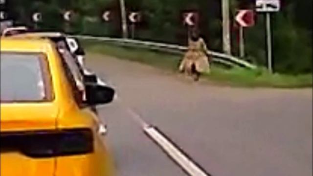 Прогулька.mp4