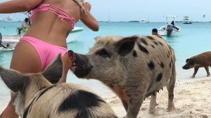 ✅ РУССКИЕ ПРИКОЛЫ — 100% РЖАЧ И УГАР! 💣