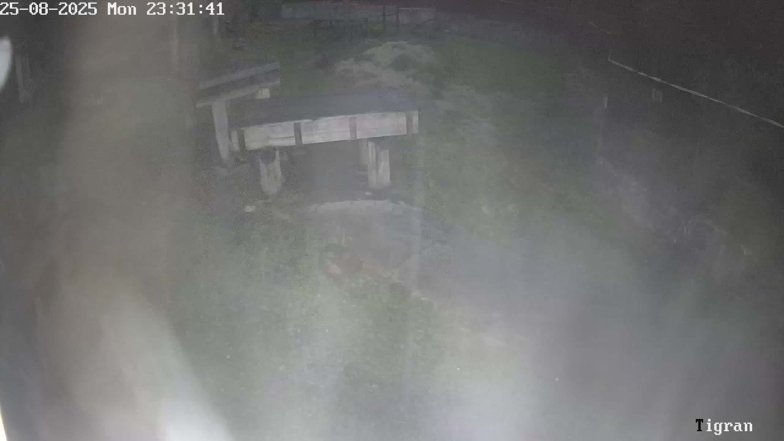 Лев Тигран смотреть онлайн