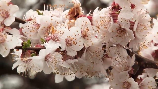 Весна в Волгограде смотреть онлайн