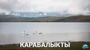 Озеро Карабалыкты: лебеди, яшма и очень древняя стоянка человека | Ураловед