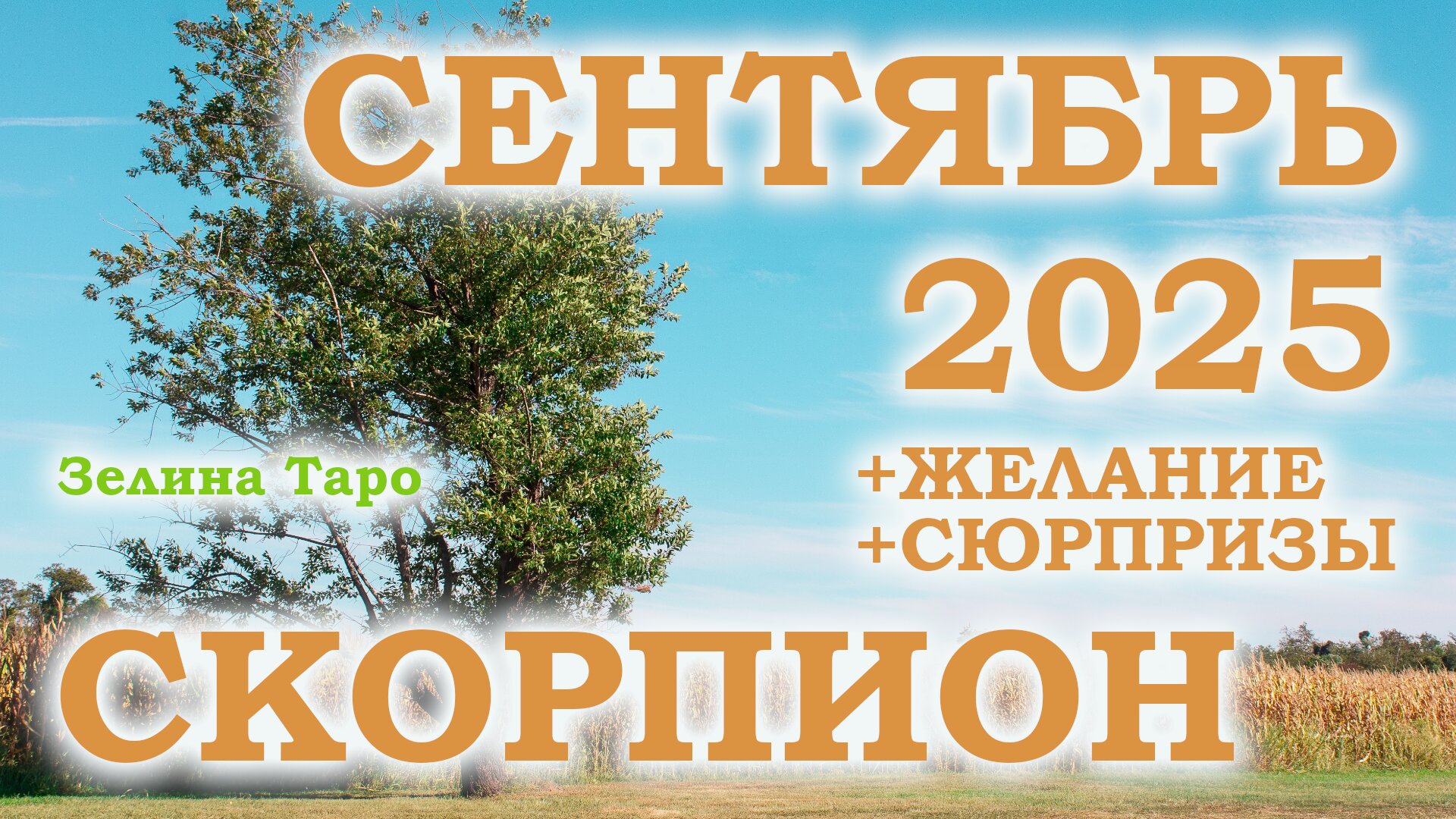 СКОРПИОН | ТАРО прогноз на СЕНТЯБРЬ 2025 года | Желание | Сюрпризы | Расклад таро