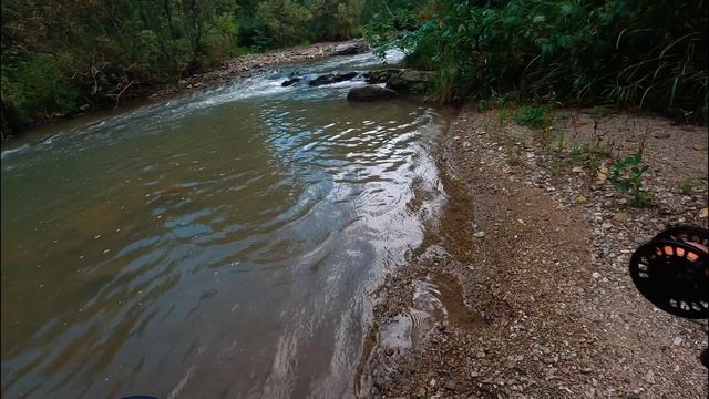 Нимфинг на микро-речке #flyfishing #горы #горнаярека #хариус #елец #пескарь