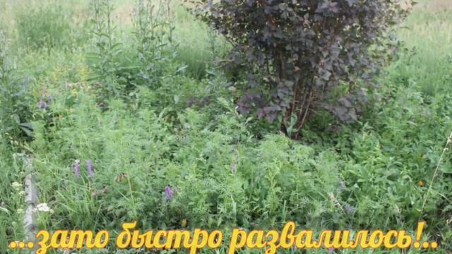 п.Темп Ртищевский район