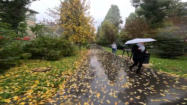 Тест Gopro 11 под дождем смотреть онлайн