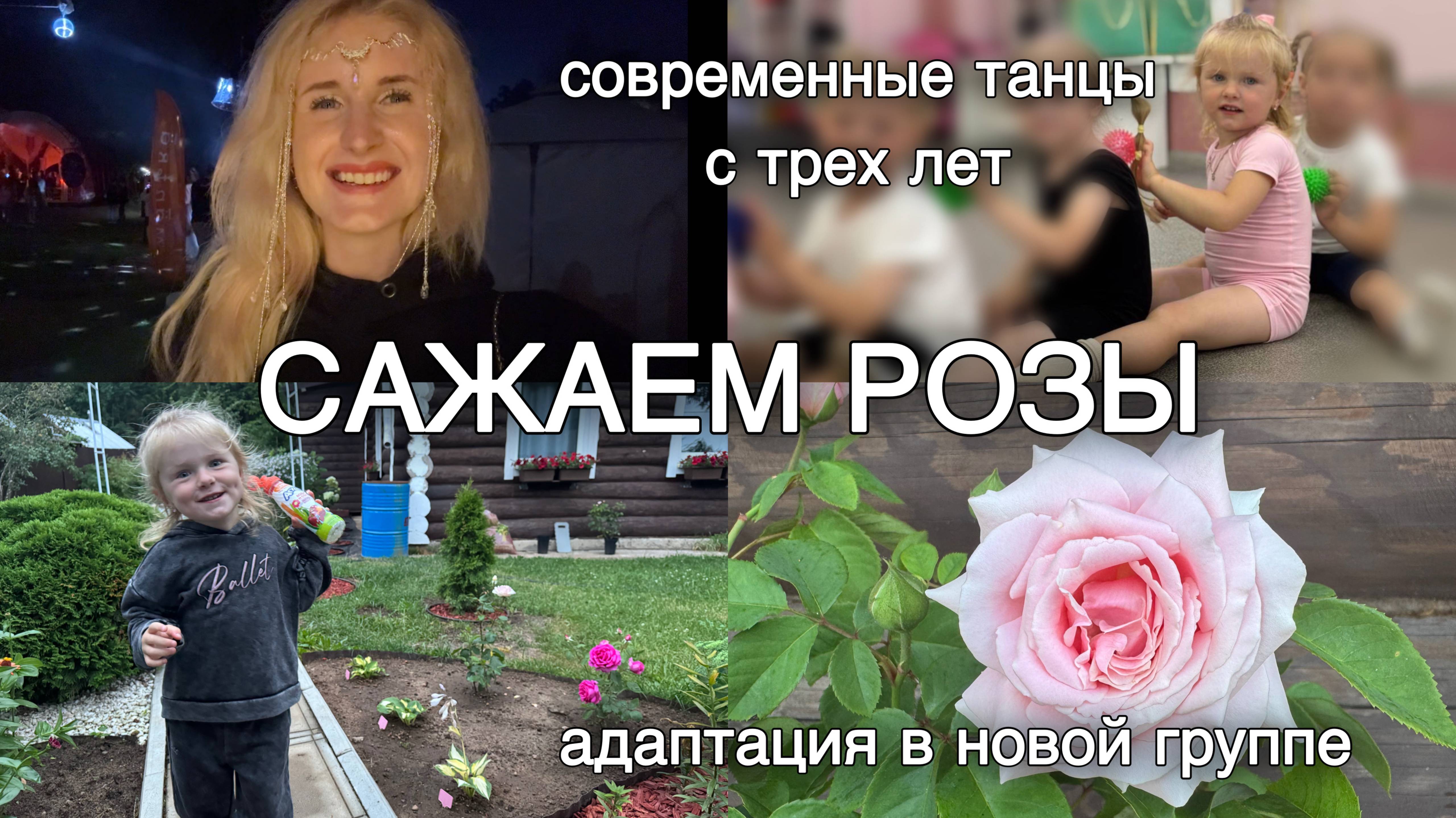новый садик, розы, танцы