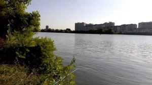 О том,как сом "крокодила" утащил.