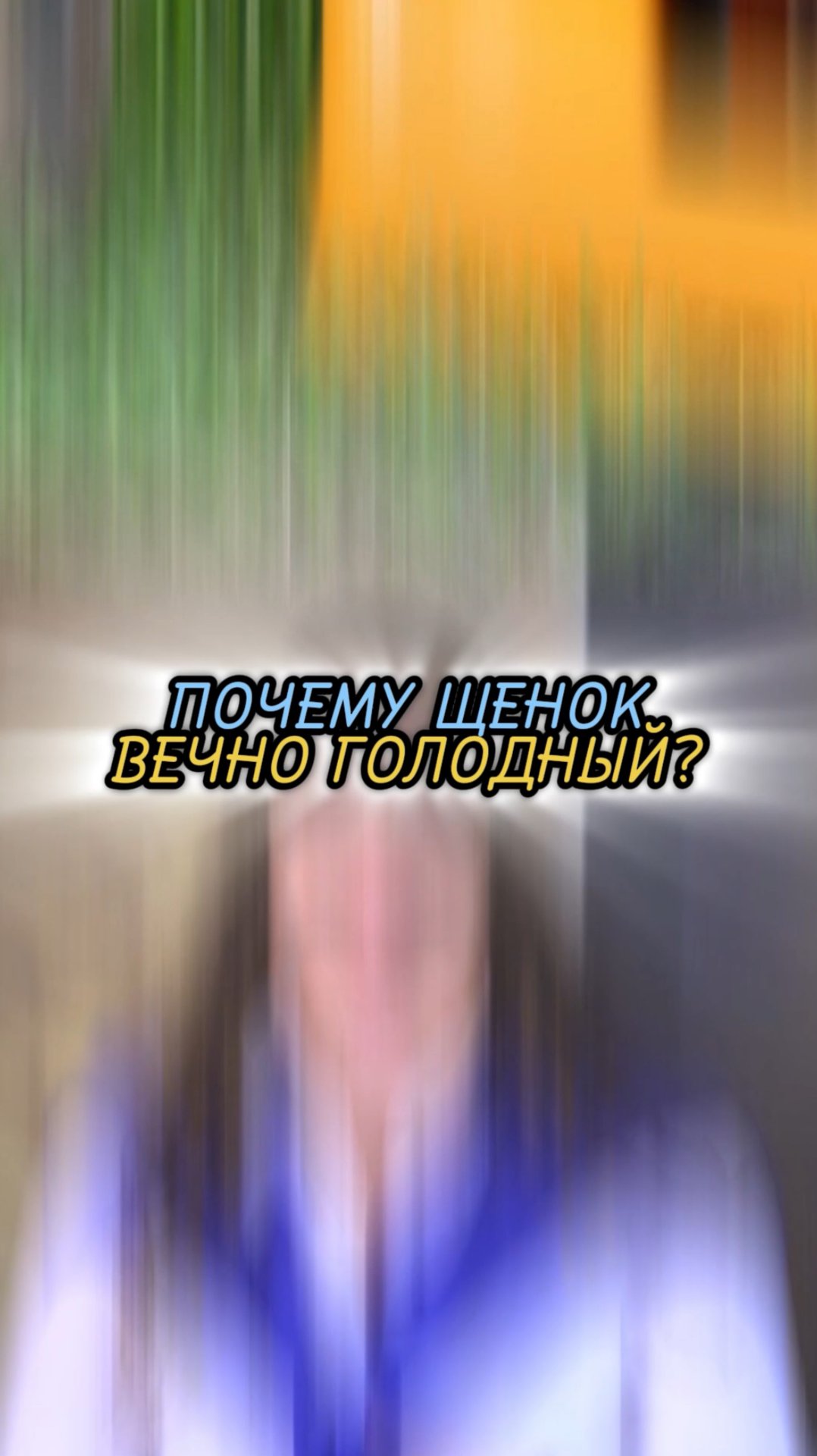 🎁Бесплатные уроки. Жми сюда!