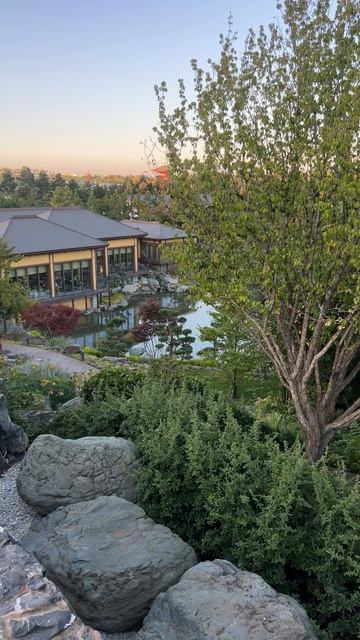 Самая высока точка Японского сада #парккраснодар #паркгалицкого смотреть онлайн