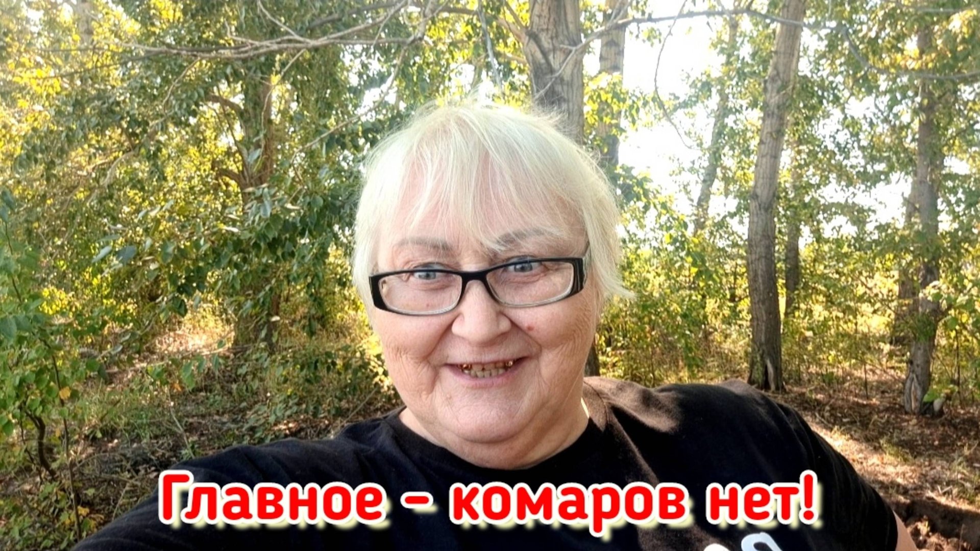 Колесо для садовой тачки дороже самой тачки... смотреть онлайн