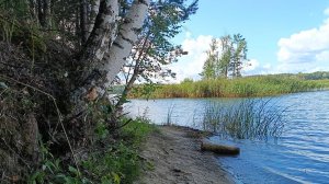 НЕ БЫЛО ПЕЧАЛИ- ПРОСТО УХОДИЛО ЛЕТО🌞🌴🏄🎇