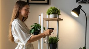 инструкция цвлайт