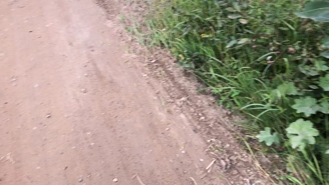 Собрание лохматиков (шмели) смотреть онлайн