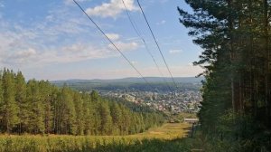 продолжение прогулки  по лесу