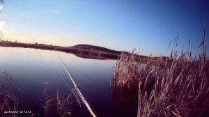 Вечерний клёв после работы. Рыбачил на кивок🎣 Наживка опарыш. Прикормка своя.